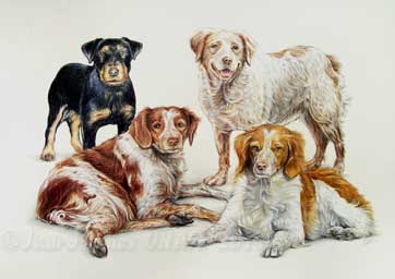 Composition de portaits de chiens epagneuls en tableau artistique